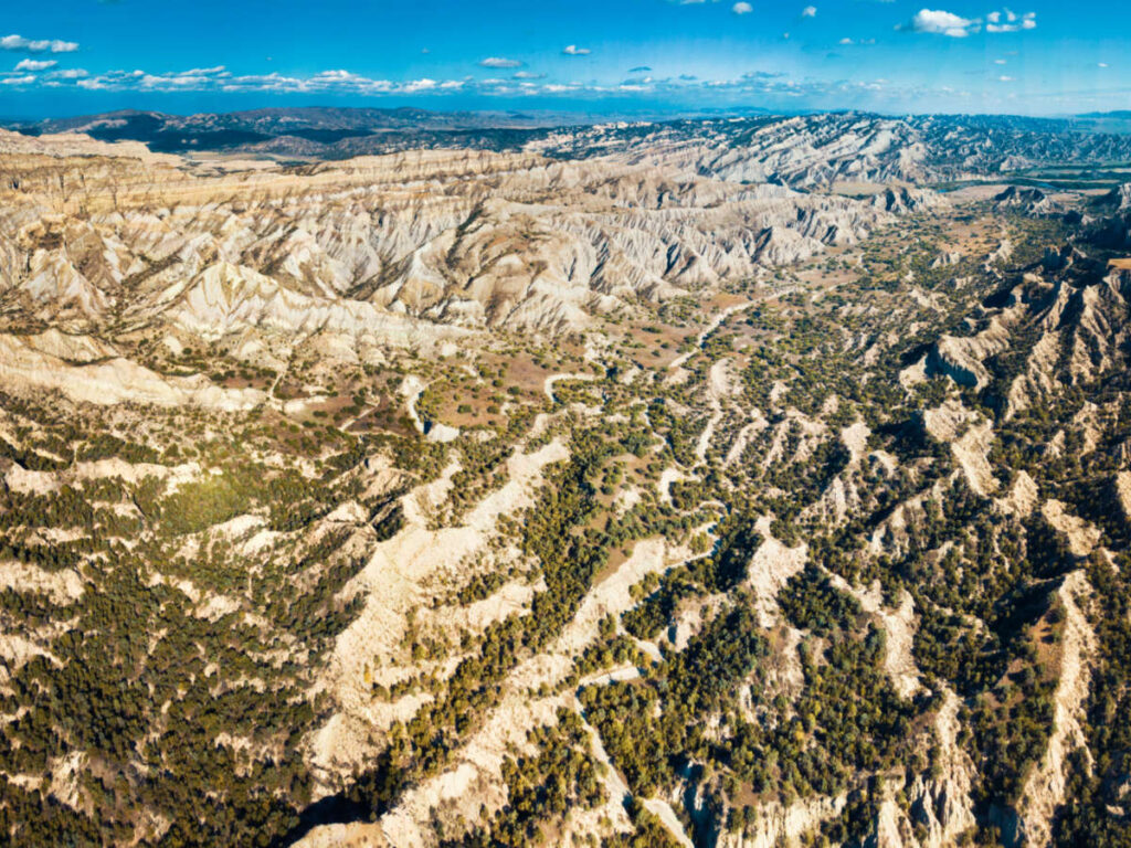 Aerial view of the formations at the Vashlovani Nature Reserve