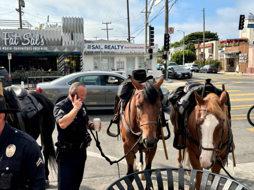 A police holding the leash of the Venice police horses
