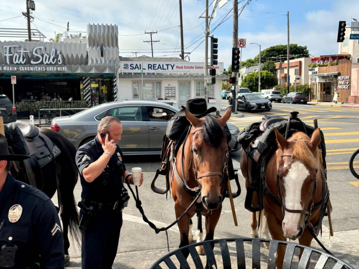 A police holding the leash of the Venice police horses