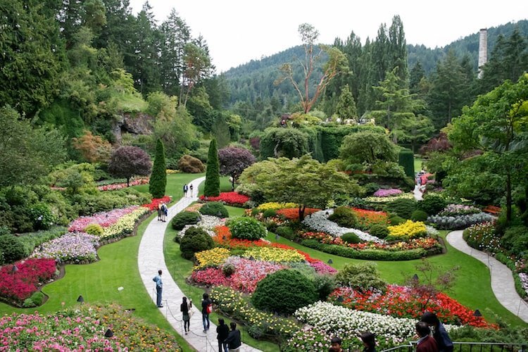 People wander through the Butchart Gardens in Victoria, British Columbia in the summertime