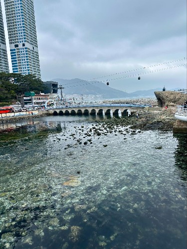 View of the shore and cable cars from the Songdo Cloud Walk