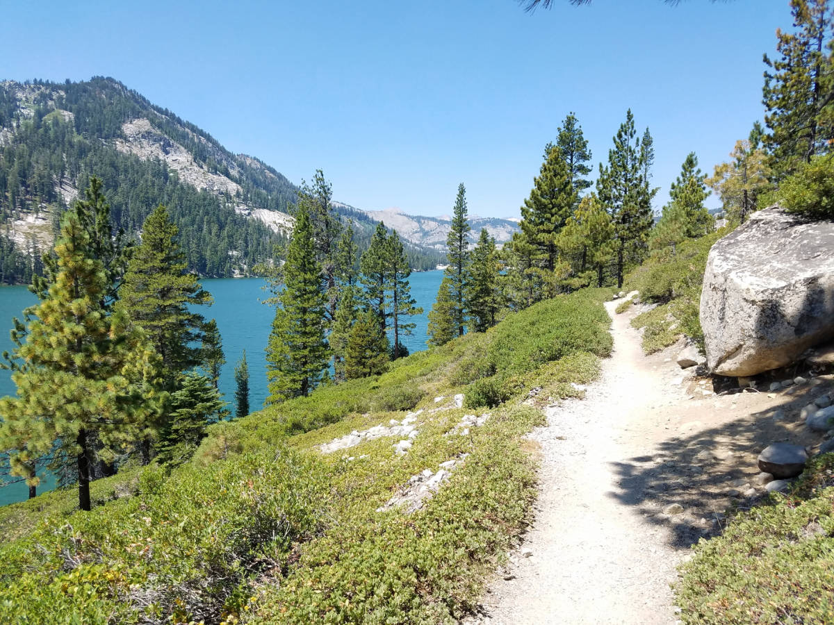 Clear blue sky over the Tahoe Rim Trail