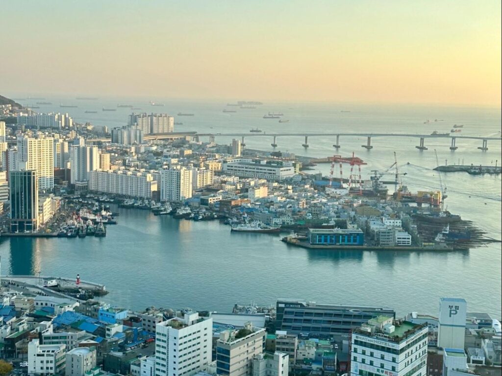 View of the harbor from Busan Tower