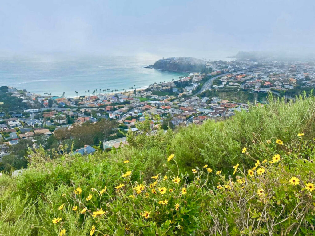 Overlooking view of the Emerald Bay from Crystal Cove State Park