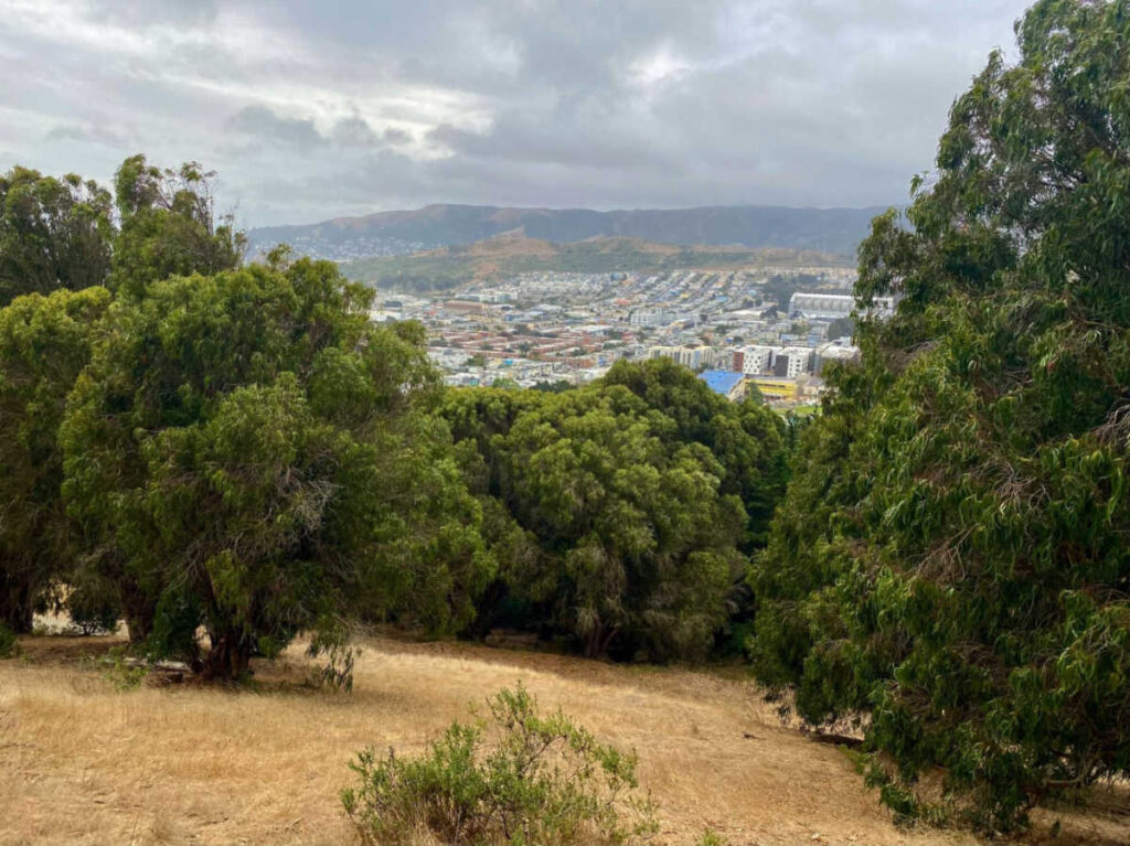 Overlooking view of the city from the trail in McLaren Park