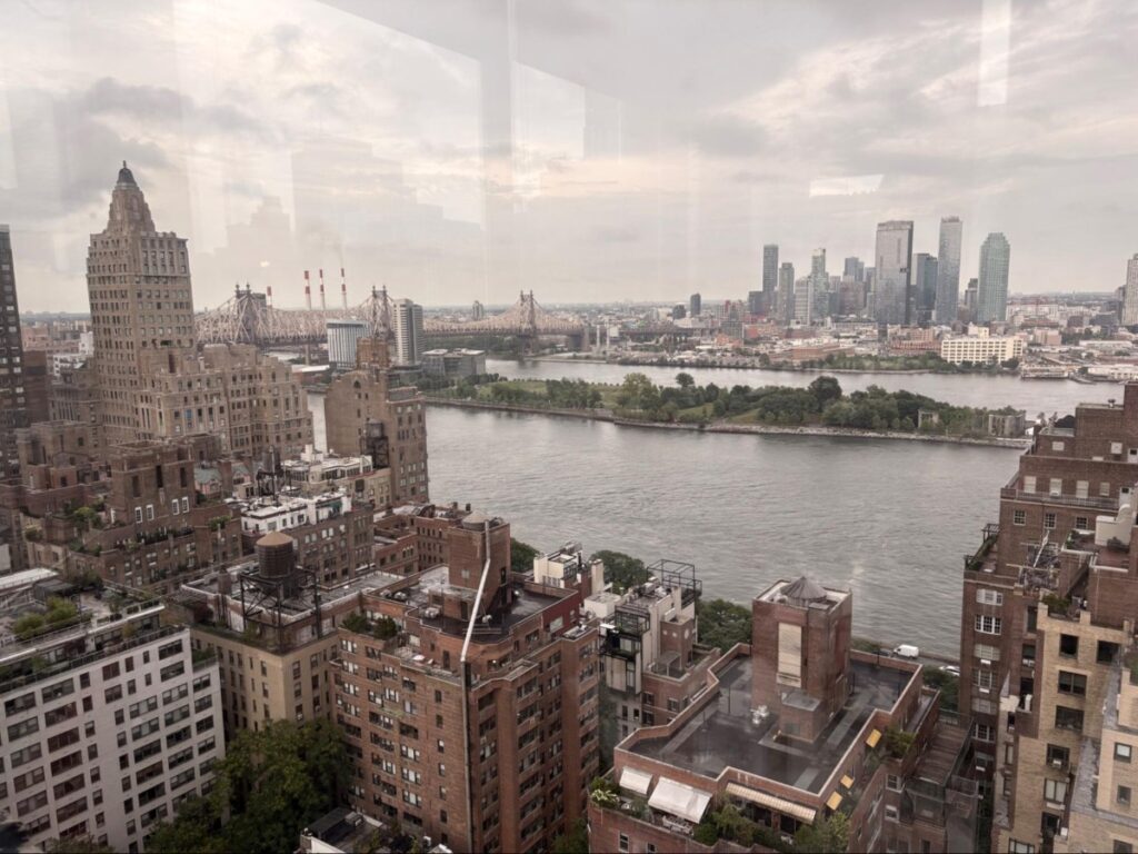 Rooftop view from Ophelia Midtown