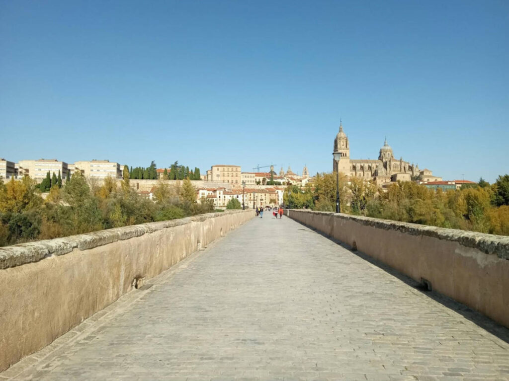View of the view of the city of Salamanca and cathedral from across the Roman Bridge