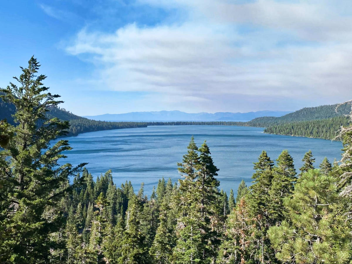 Scenic overlooking view of the Fallen Leaf Lake surrounded by greenery