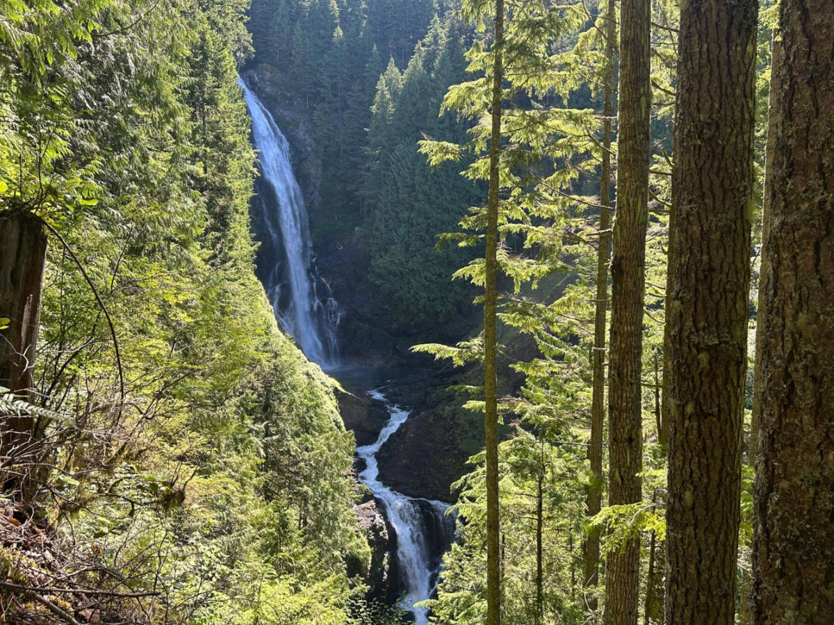 Overlooking view of the Wallace Falls and the greenery around