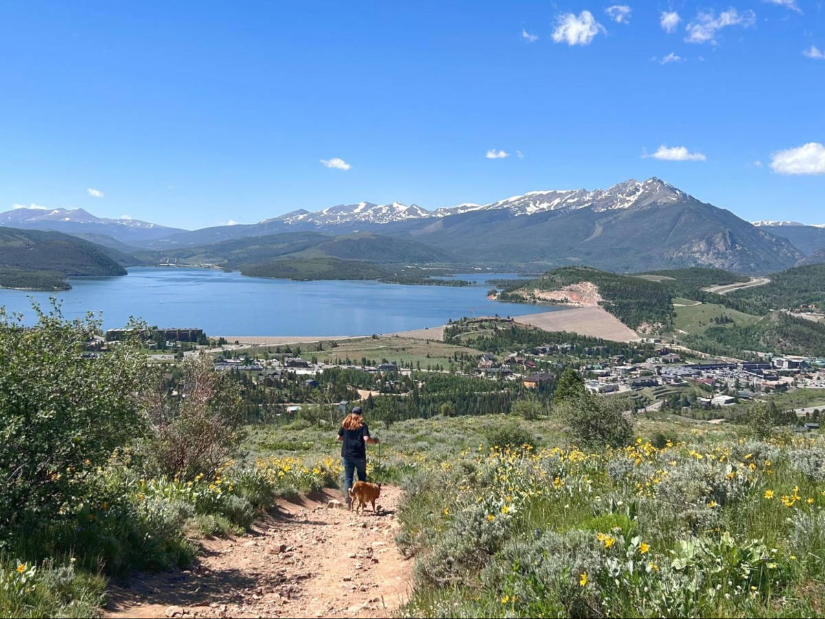 A man hiking with his dog along the Ptarmigan Trail with a scenic view on a sunny day