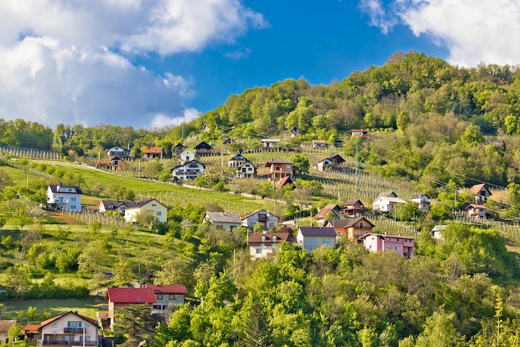 View of hills and vineyards with some houses