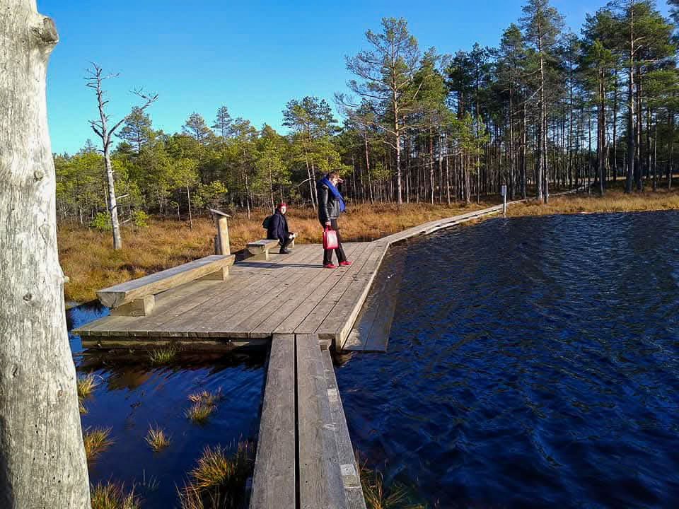 Author Thom;s family taking a break at Viru Bog