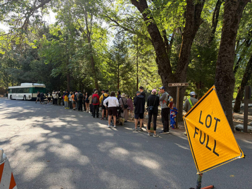 View of the long line of the visitors in Yosemite