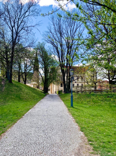 The pathway surrounded by greenery at Vyšehrad’s grounds