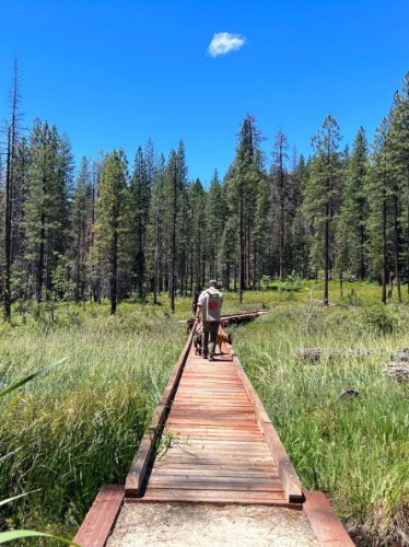 Clear blue sky over a man while walking on a boardwalk