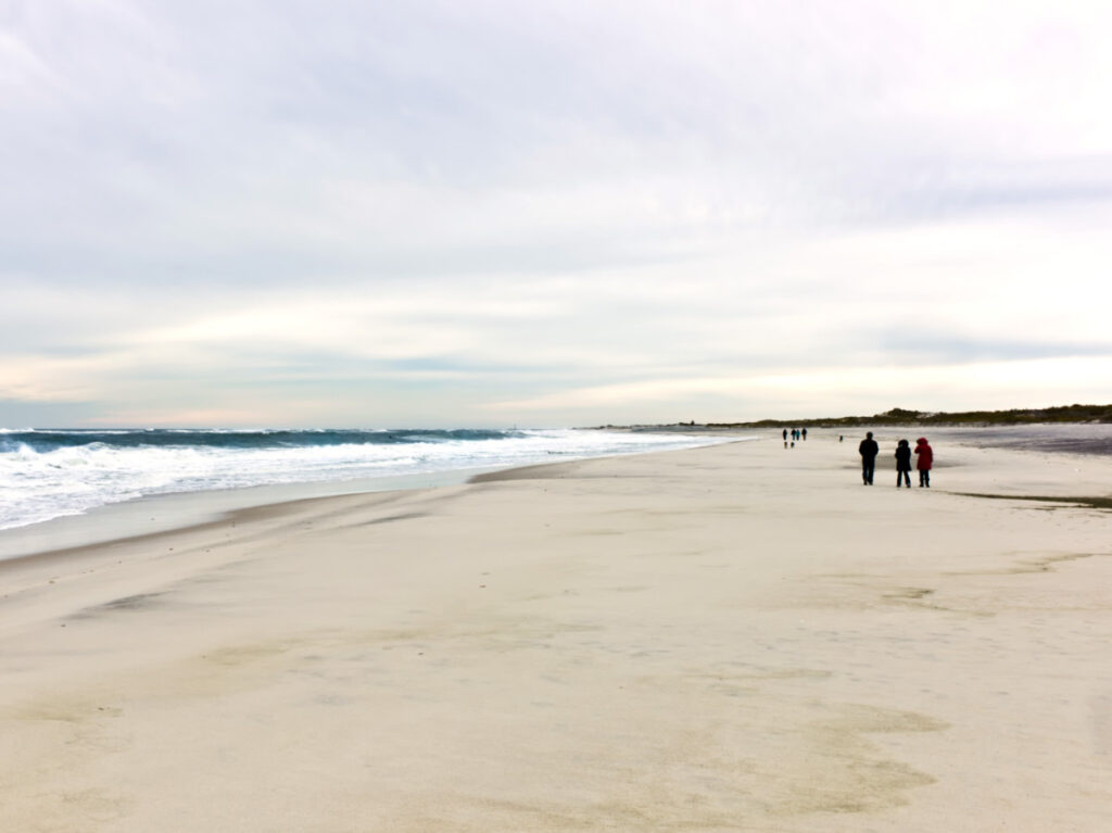 People wearing jackets while walking along the beach