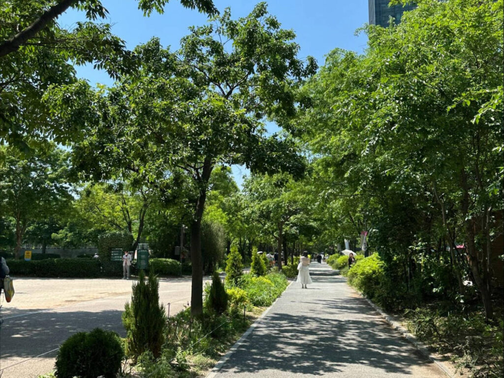 A walking path surrounded by greeneries at Seoul Forest