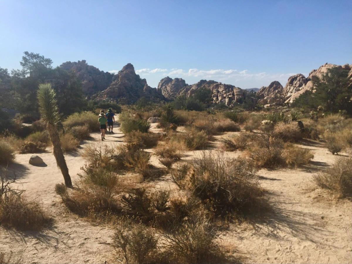 A group of people walking along the Hidden Valley Nature Trail loop