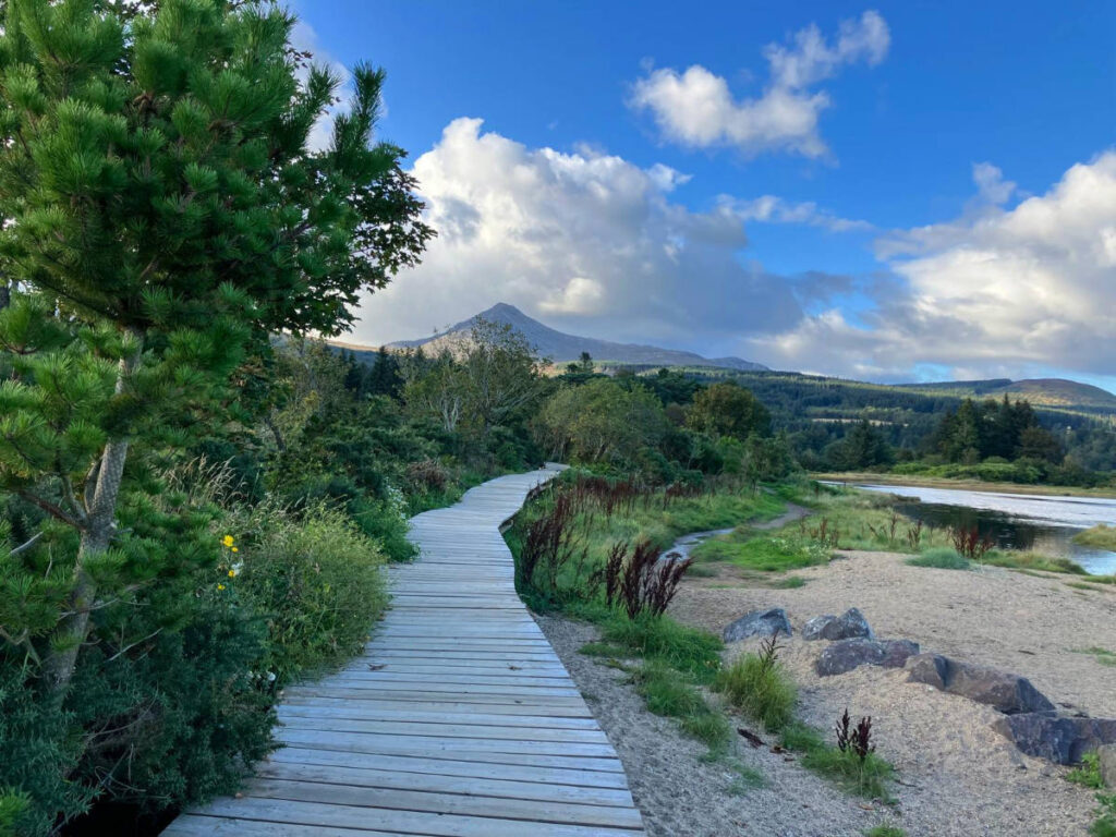 View of a Walking trail in Arran surrounded by greeneries