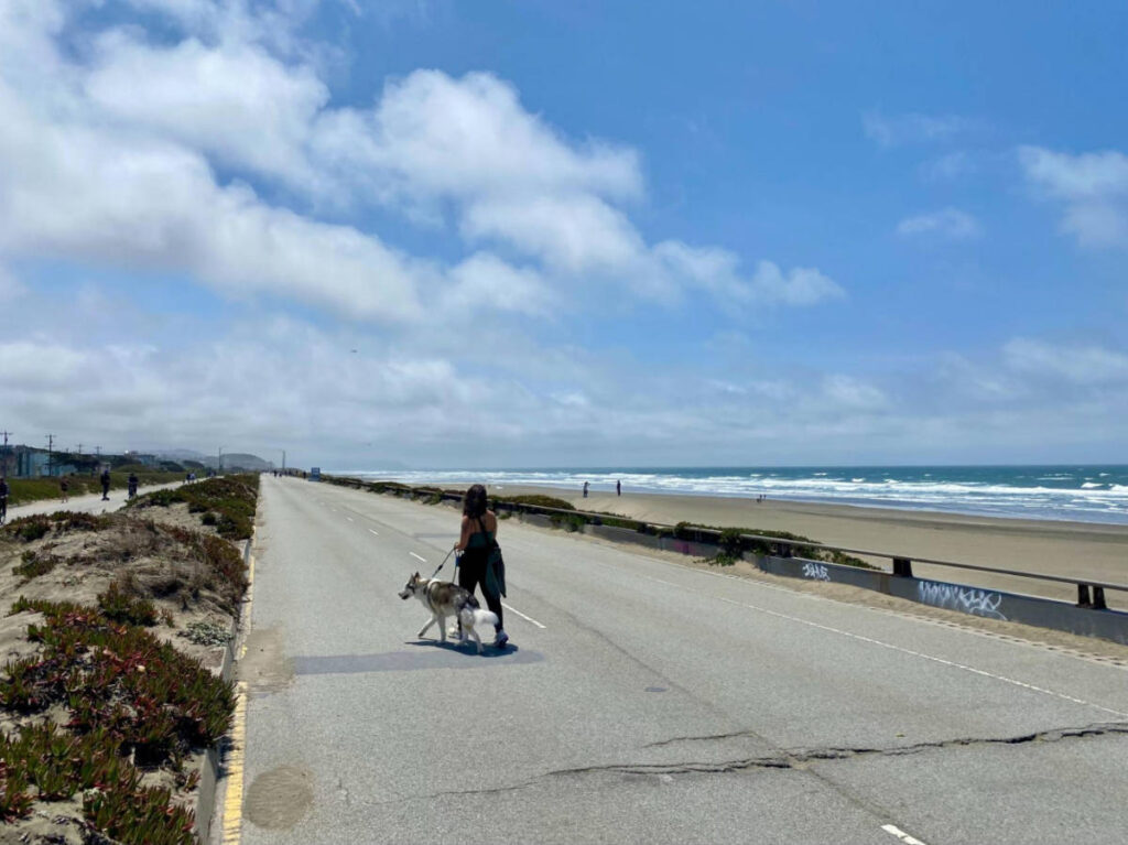 A woman walking with her dog at Sunset Dunes