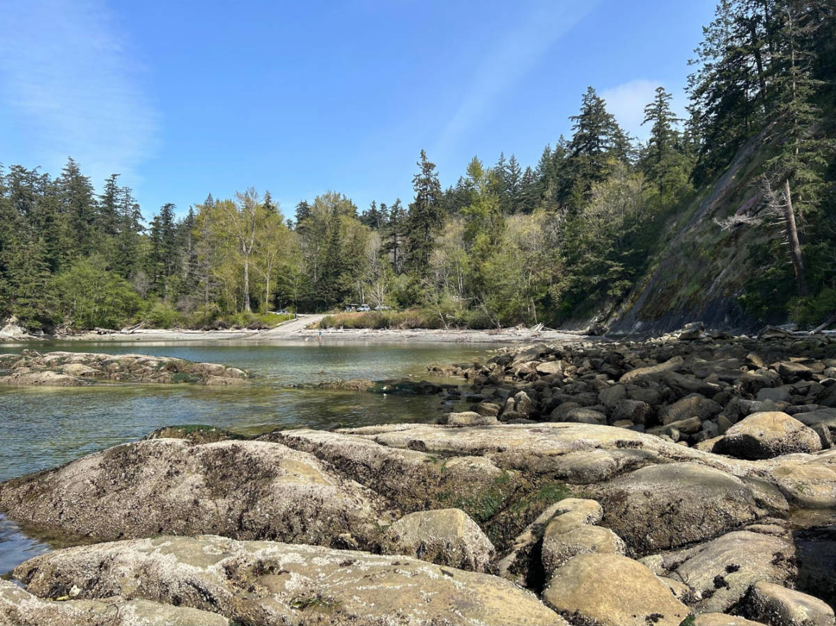 Scenic view of the greenery around the water in Bellingham’s Larrabee State Park