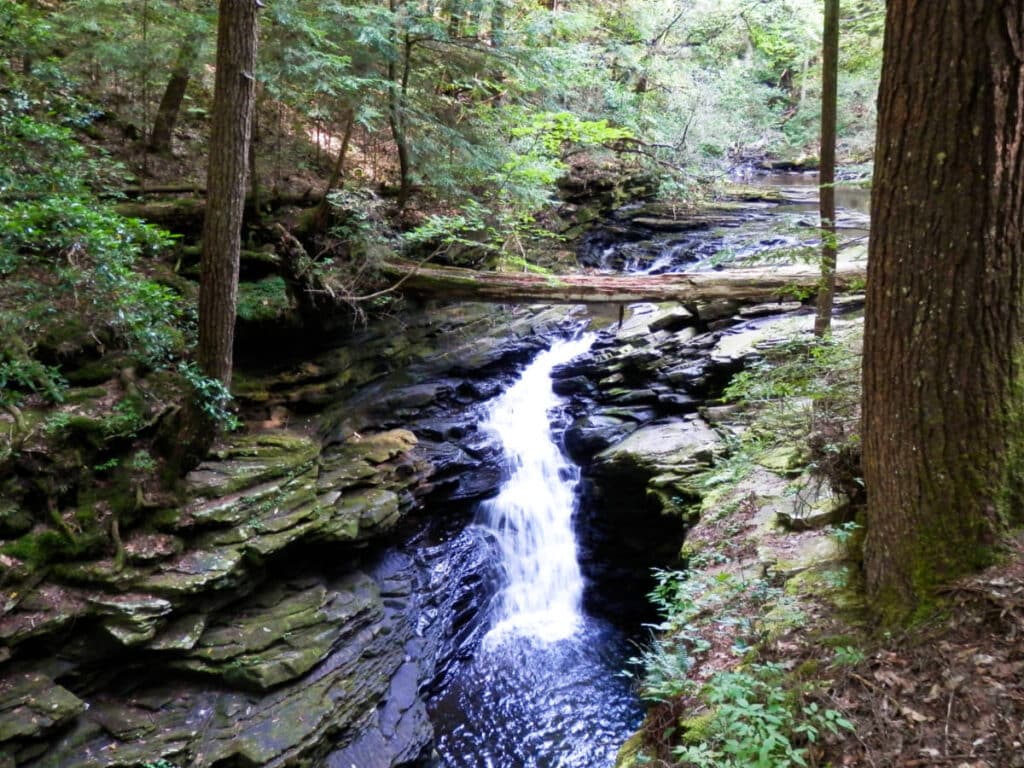 The waterfall  surrounded by greenery along the Fiery Gizzard Trail