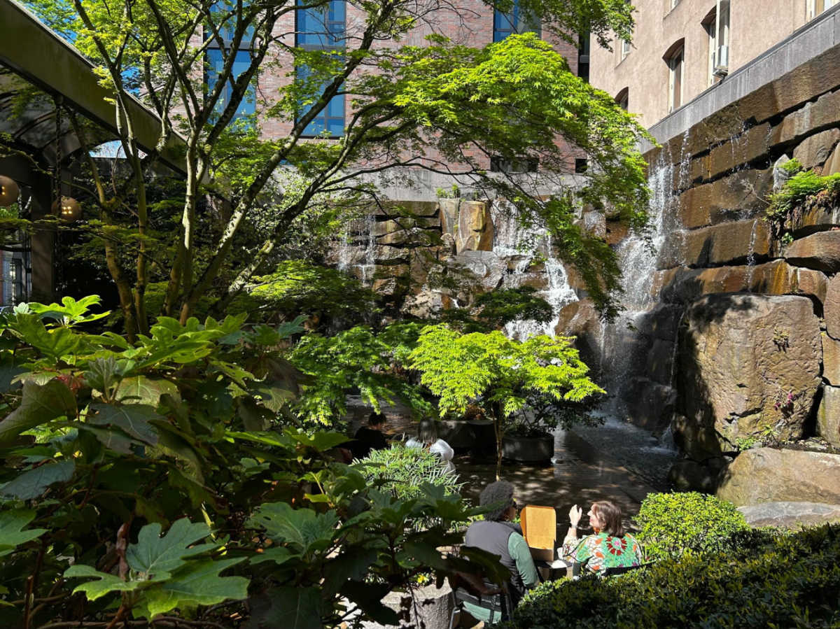View of the greenery around the Waterfall Garden Park