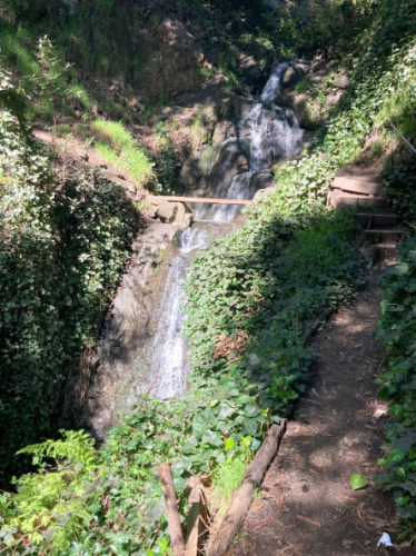 View of a waterfall at the Tamalpais Path