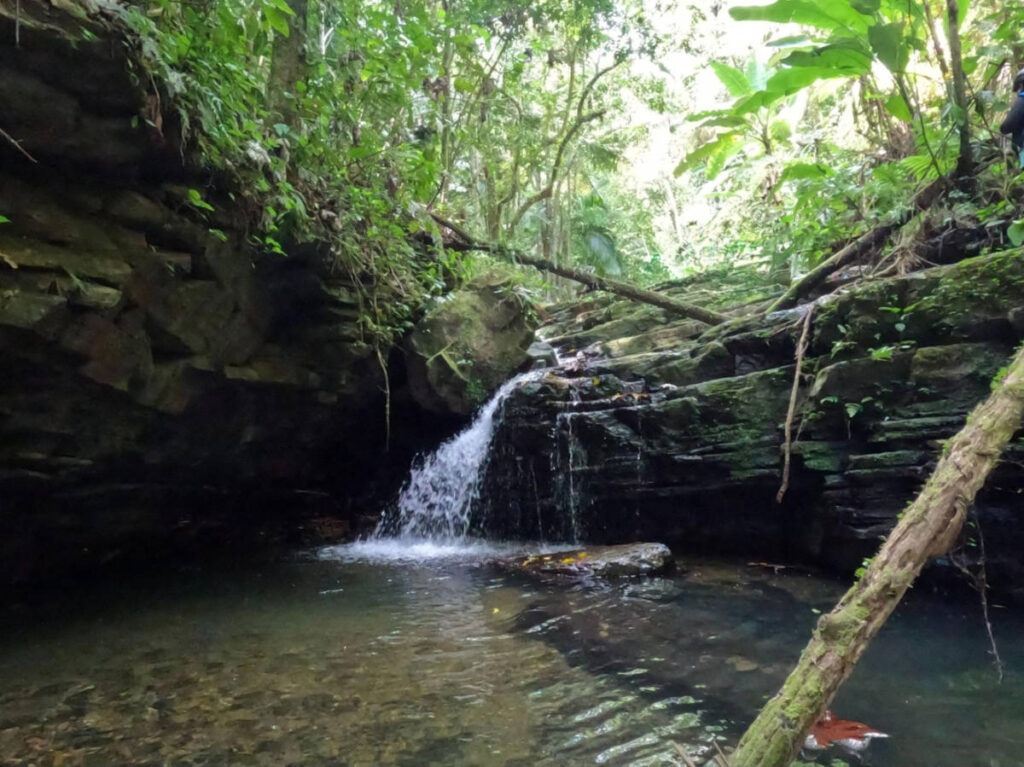 A small waterfall surrounded by greenery in Ciales
