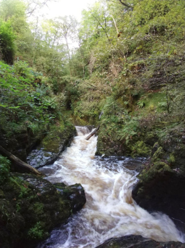 The waterfalls and nature at Devil’s Bridge