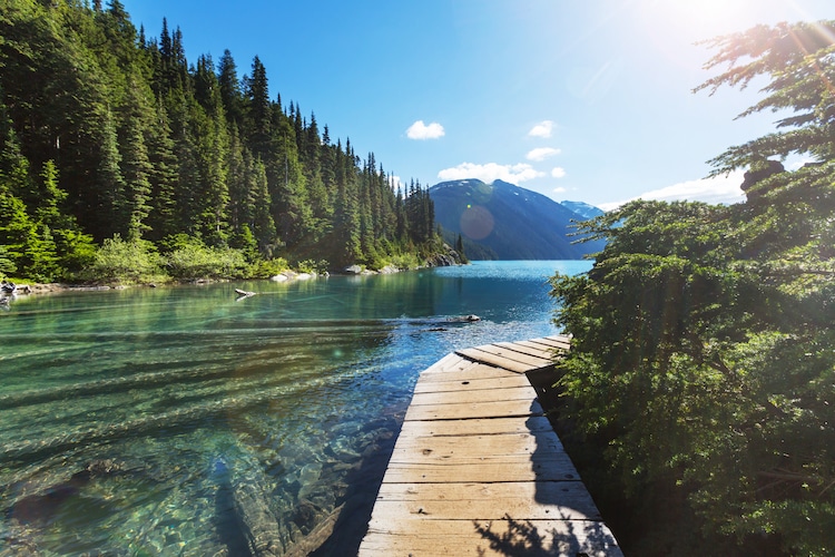 A wooden boardwalk at Garibaldi Lake, enveloped by trees