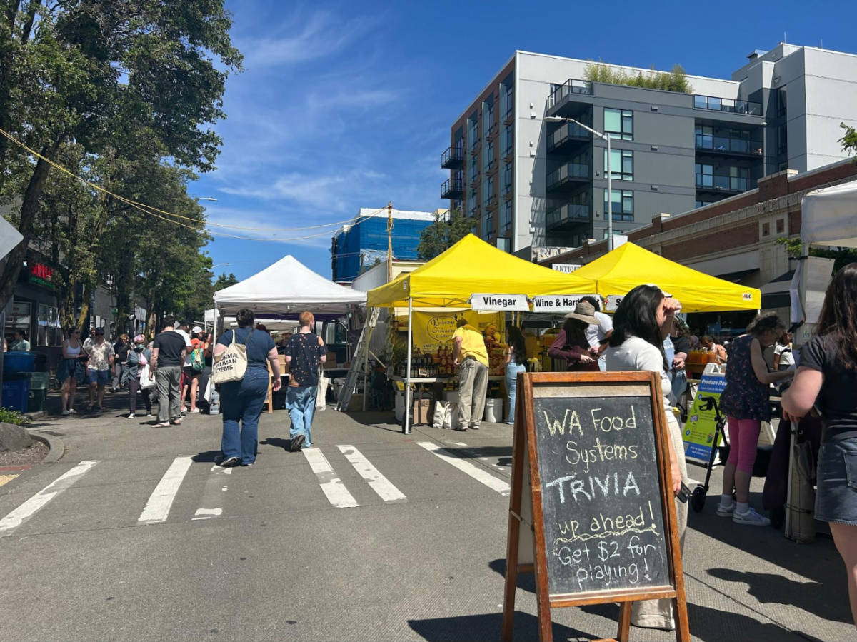 View of people and the market stalls in the West Seattle Farmers Market