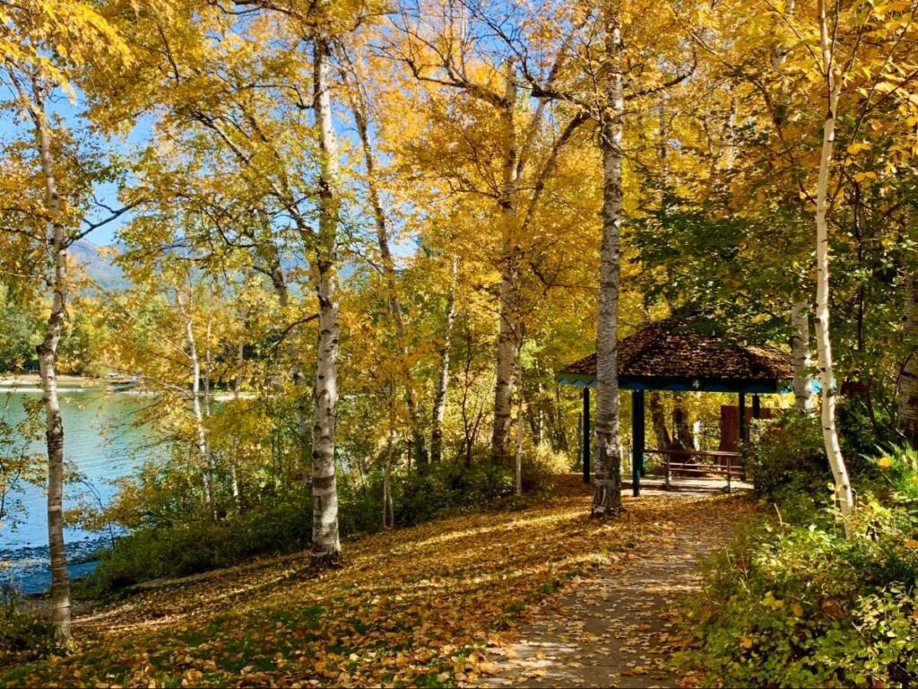 View of the autumn leaves falling beside Whitefish Lake