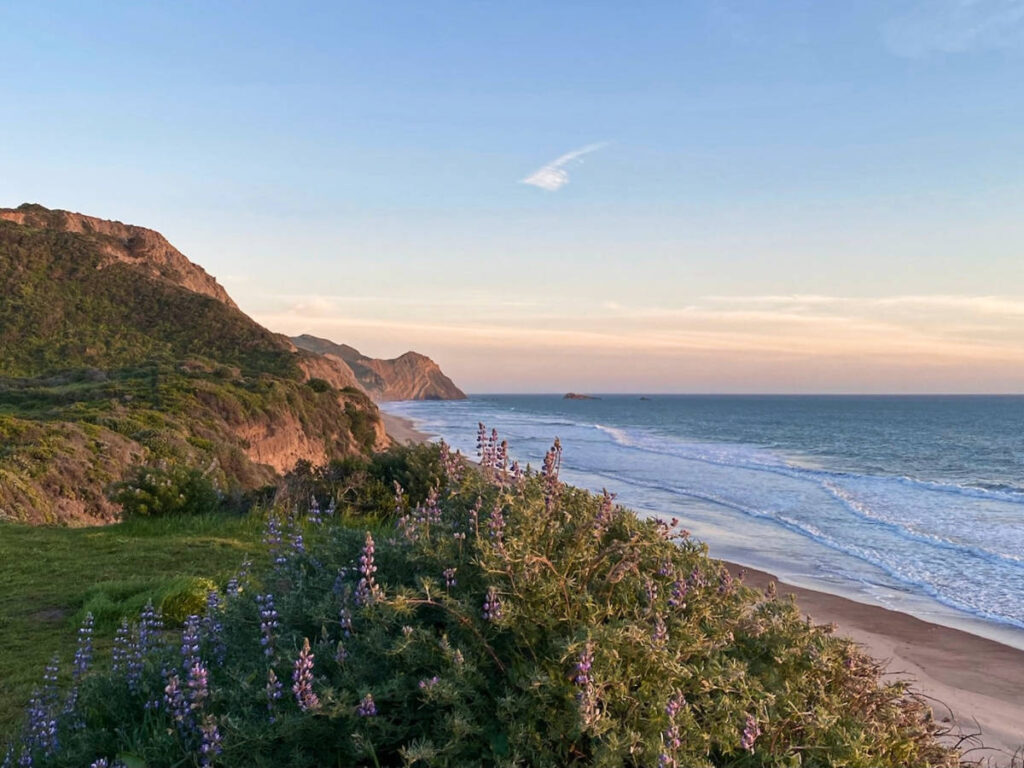 Picturesque view of the cliffs, meadow and ocean from the Wildcat Campground