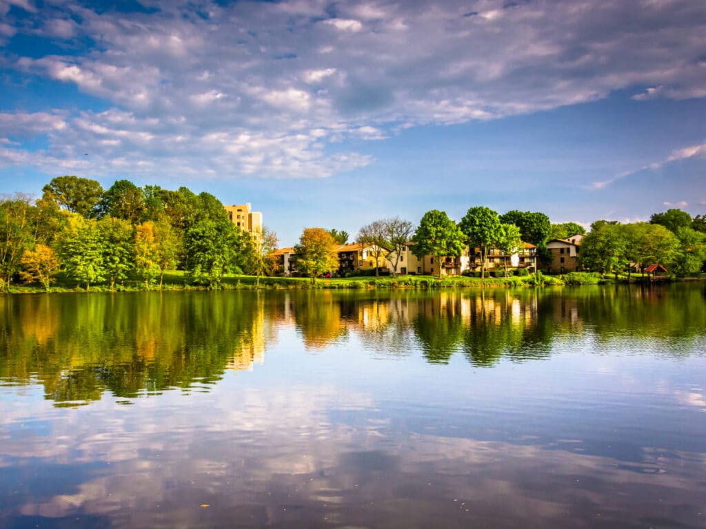 Reelections of greenery on the Wilde Lake in Columbia