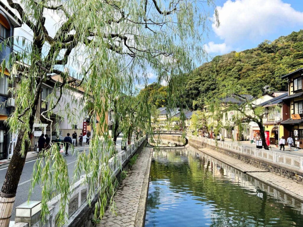 View of the pretty willow trees along the street in Kinosaki Onsen
