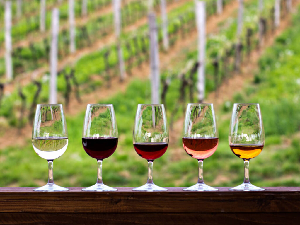 Different wine on wine glasses at the Elk Creek Winery