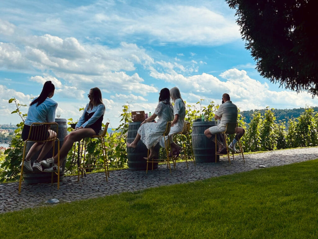 People enjoying the wine tasting and the overlooking view at Villa Richter
