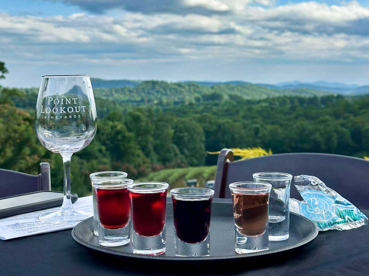 A variety of wines on the table with overlooking mountain views from Point Lookout Vineyards