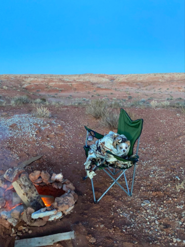 A dog keeping warm near a campfire