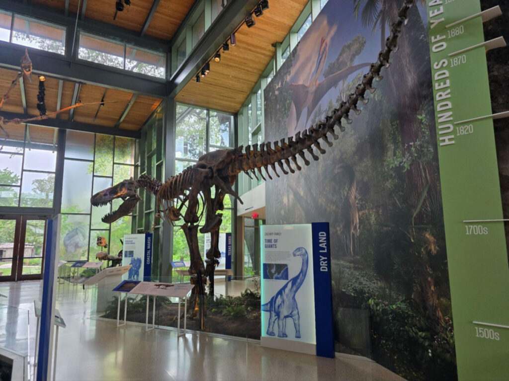 View of the Dinosaur exhibit at the Witte Museum