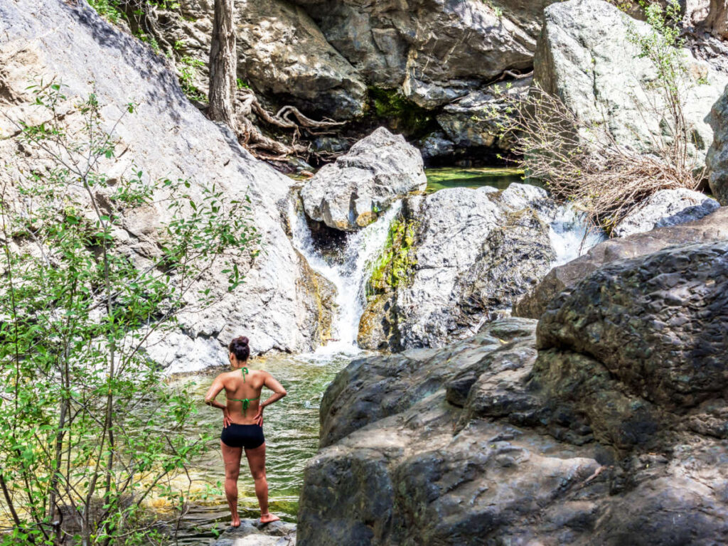 A woman admiring the view of the Salmon Creek Falls