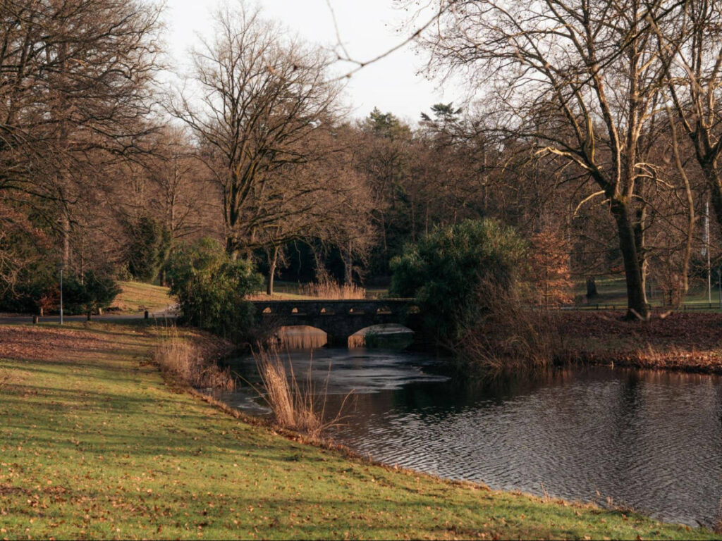 A small bridge over the river surrounded by trees in Zeist during the autumn season