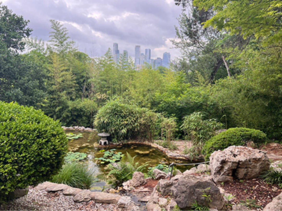 View of the Japanese garden at Zilker Botanical Garden