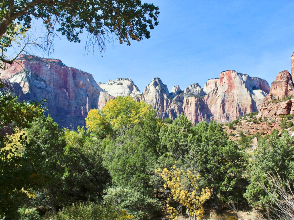 View of the rock formations surrounded by greenery at Zion National Park