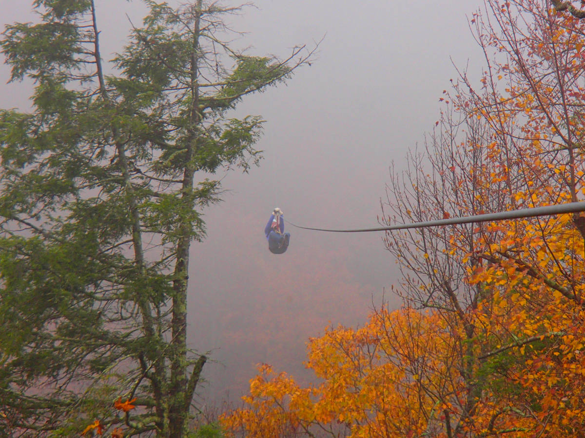 A man ziplining through the treetops during the fall