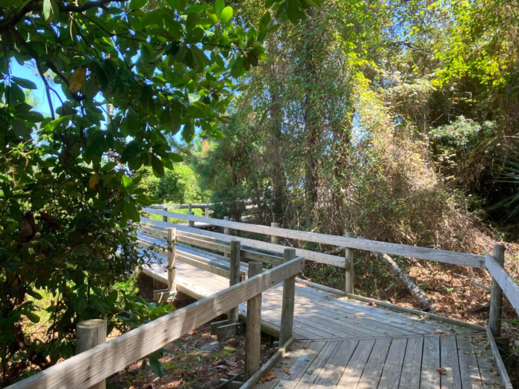 Boardwalk surrounded by trees leading to Driessen Beach